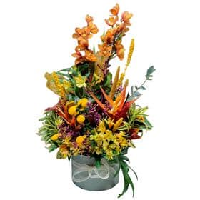 thumb-orquidea-com-flores-mistas-1